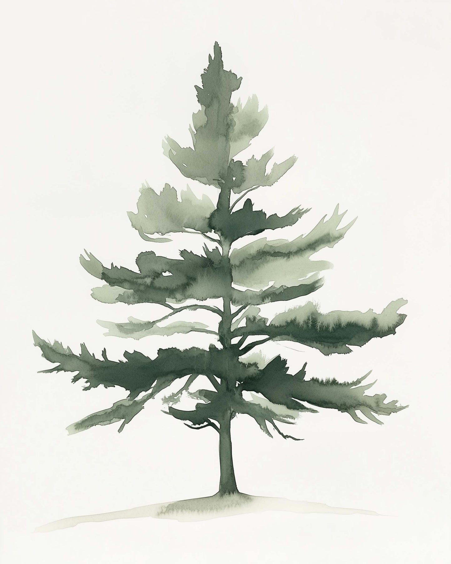 Minimalist botanical illustration