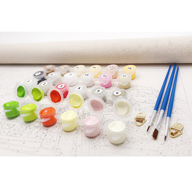 DIY painting by numbers landscape kit