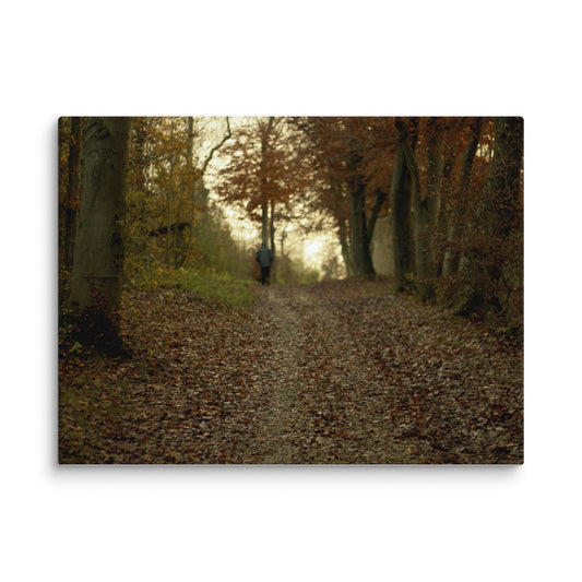 Autumn forest path