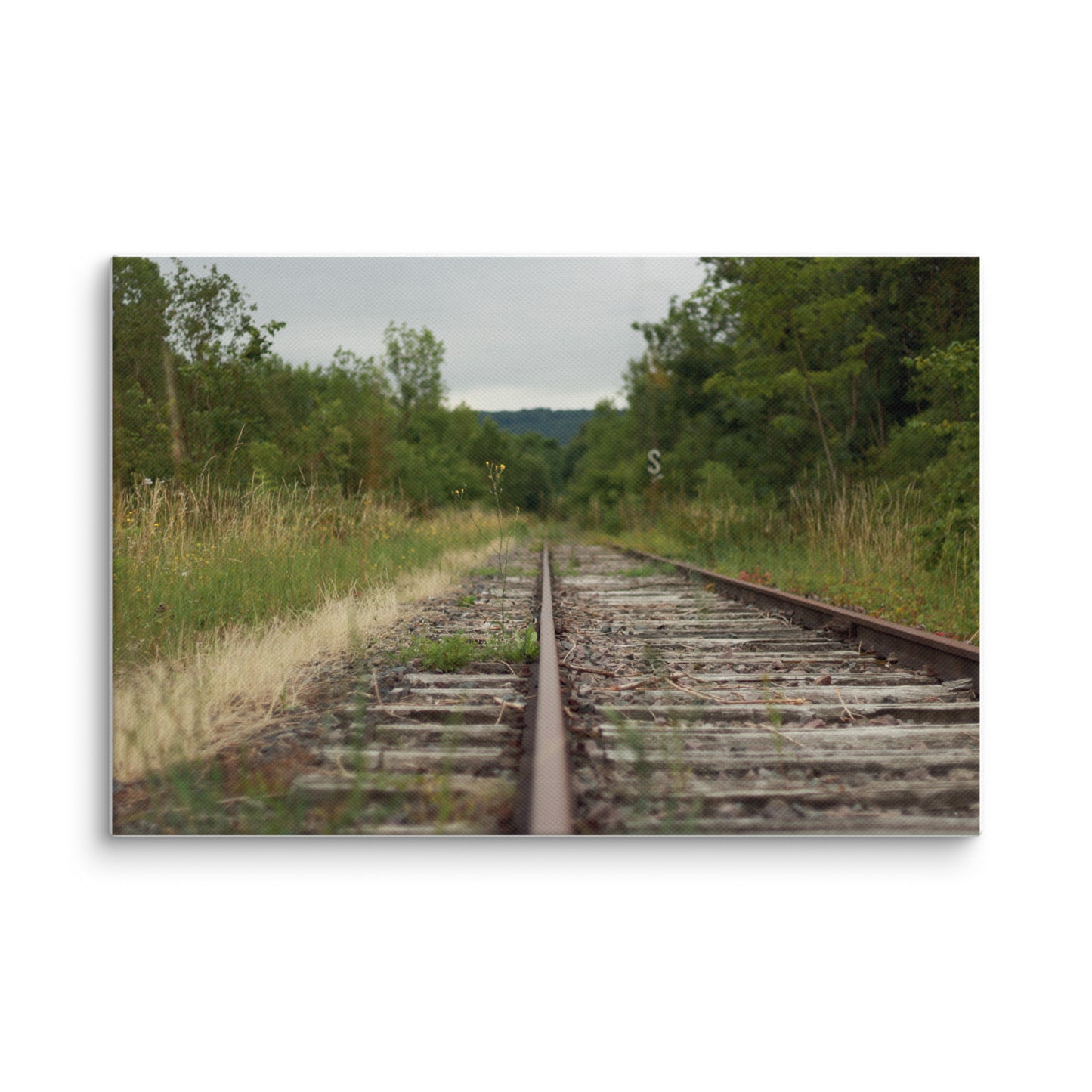 Abandoned railway