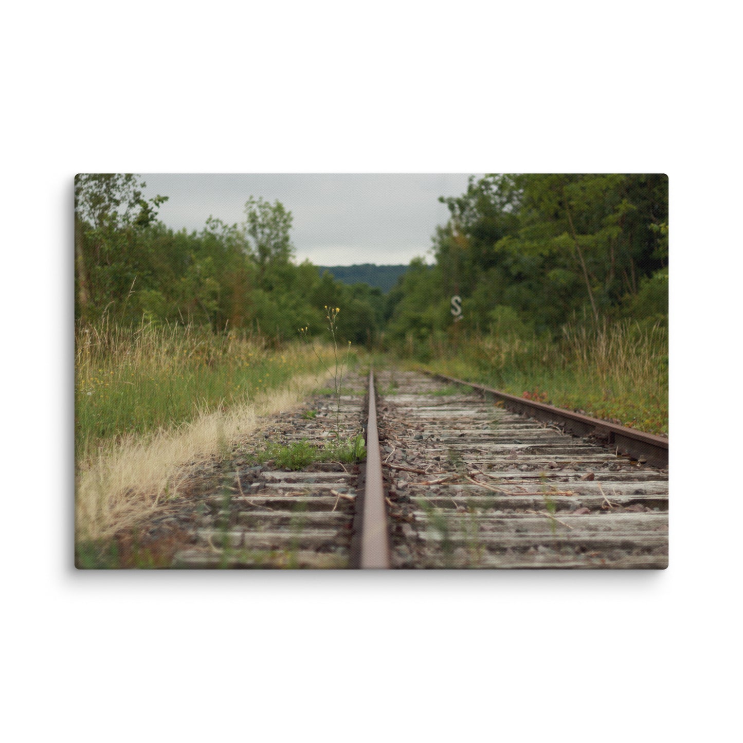 Abandoned railway