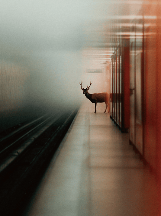 Deer waiting alone on subway platform