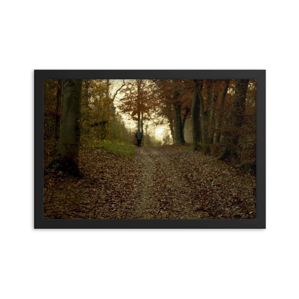 Autumn forest path