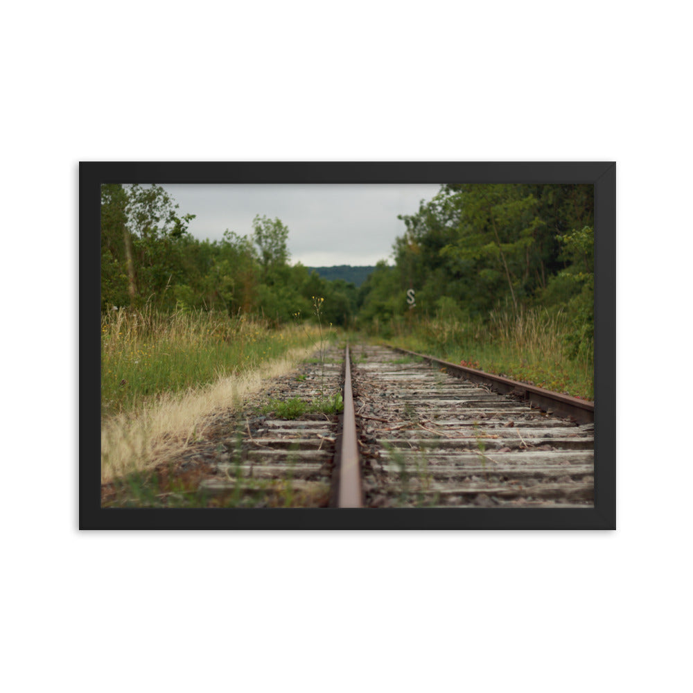 Abandoned railway