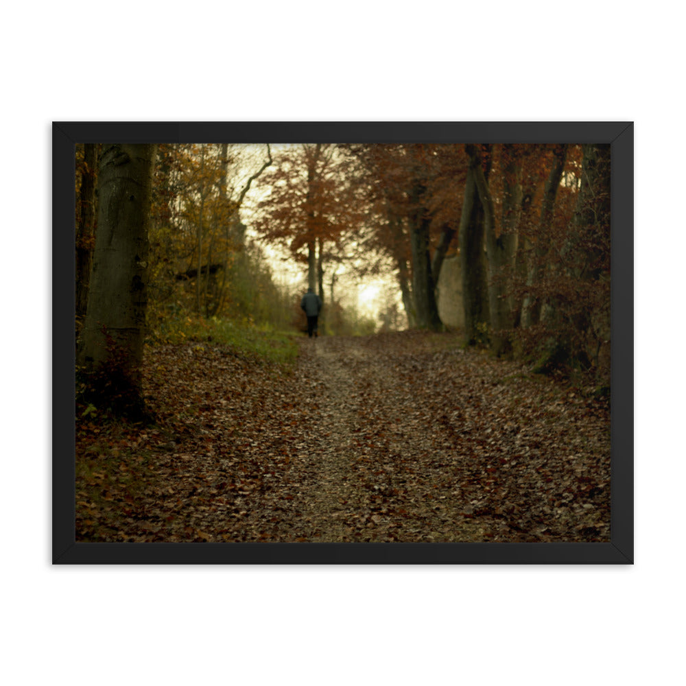 Autumn forest path