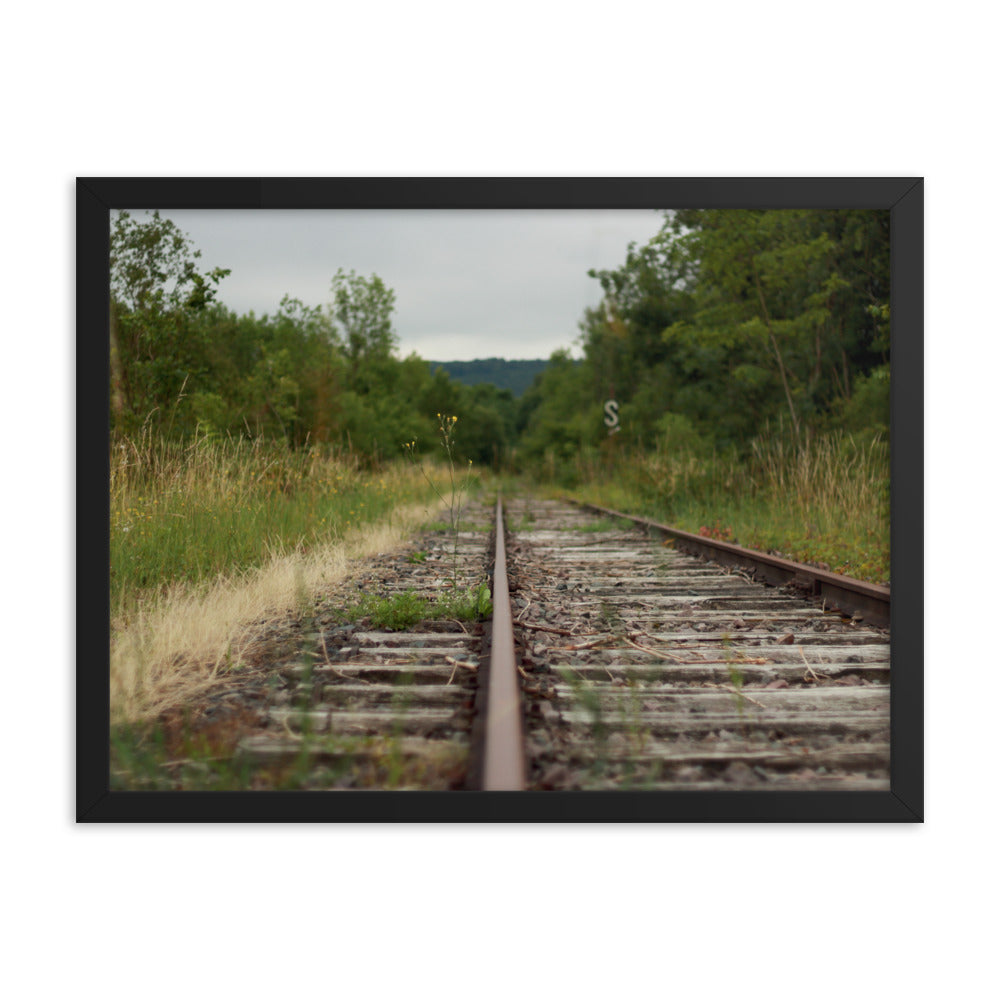 Abandoned railway