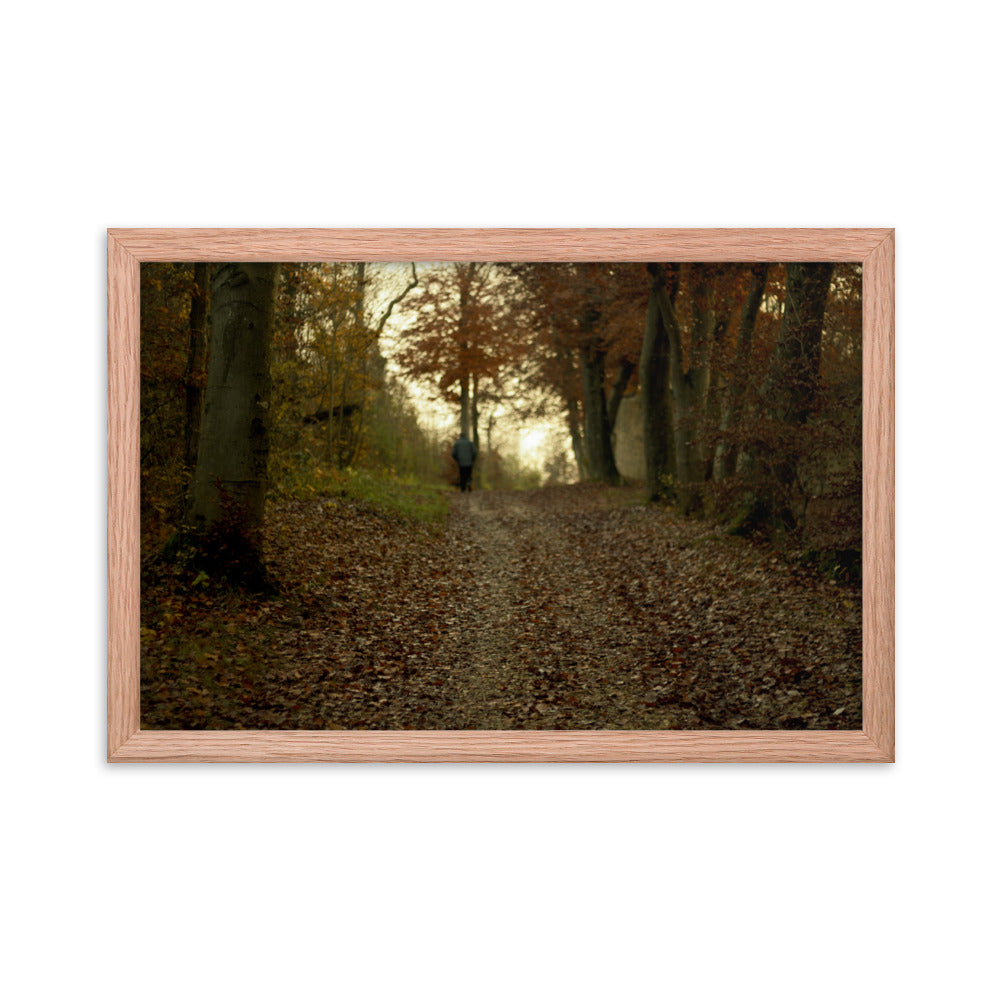 Autumn forest path