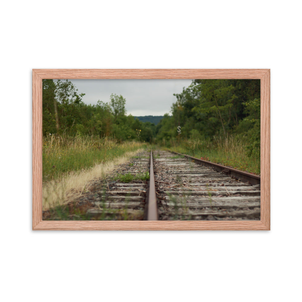 Abandoned railway