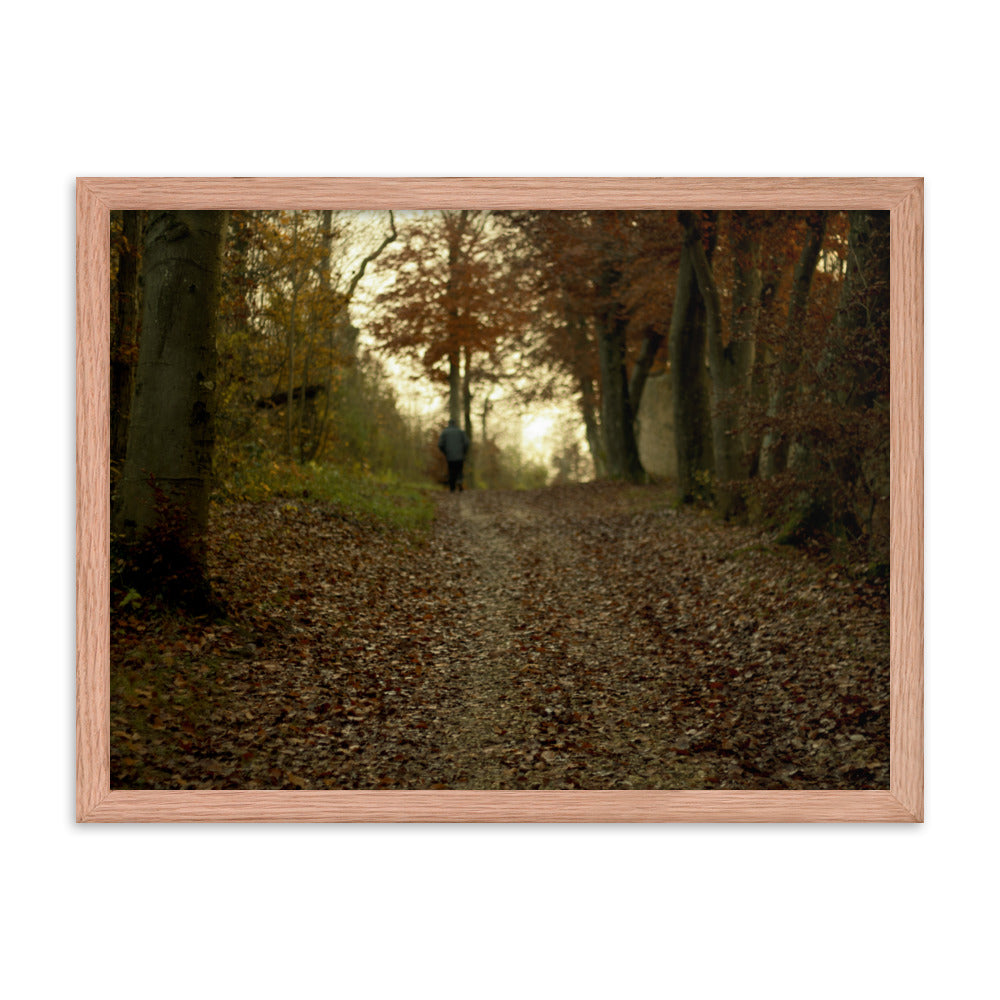 Autumn forest path