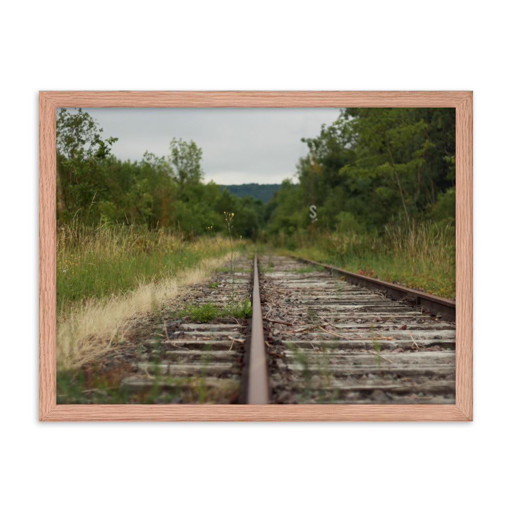 Abandoned railway