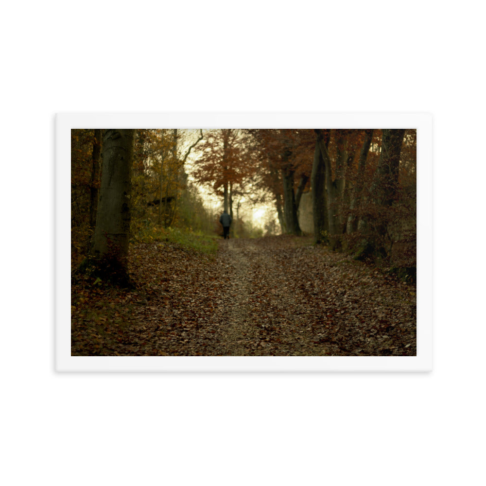 Autumn forest path