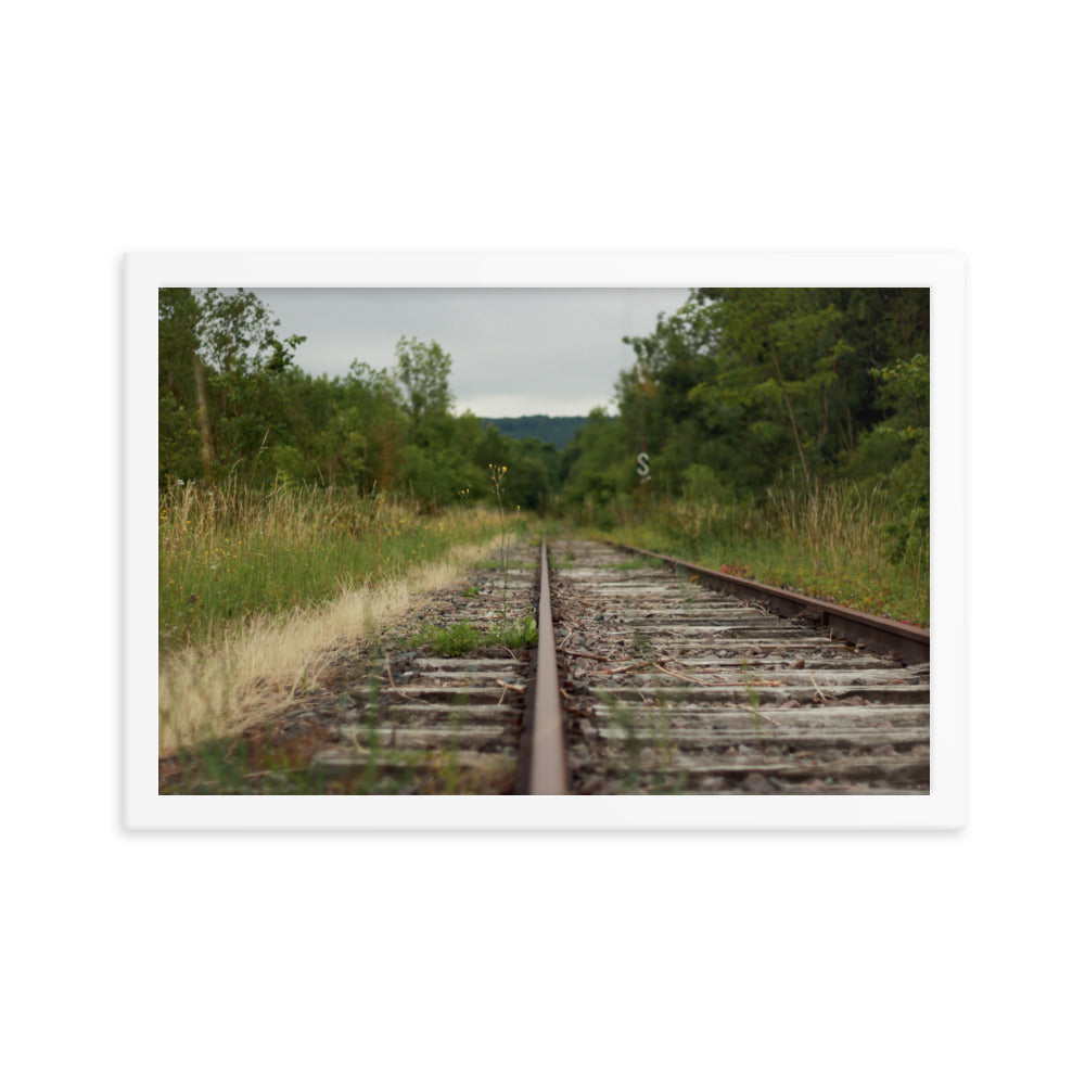 Abandoned railway