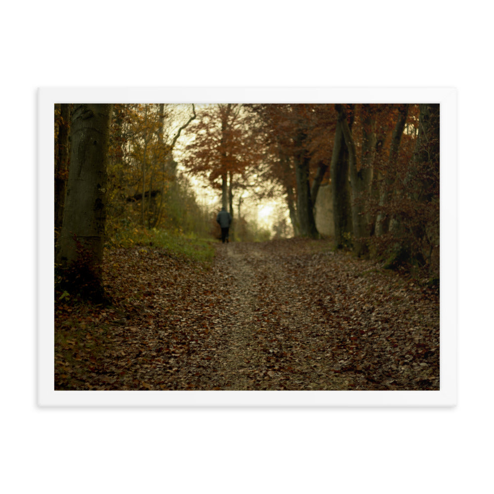 Autumn forest path