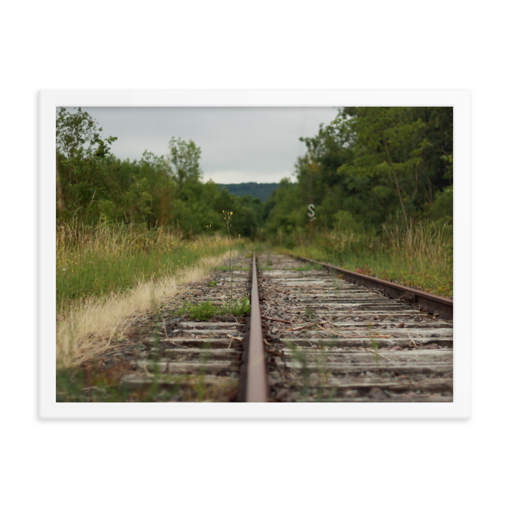 Abandoned railway