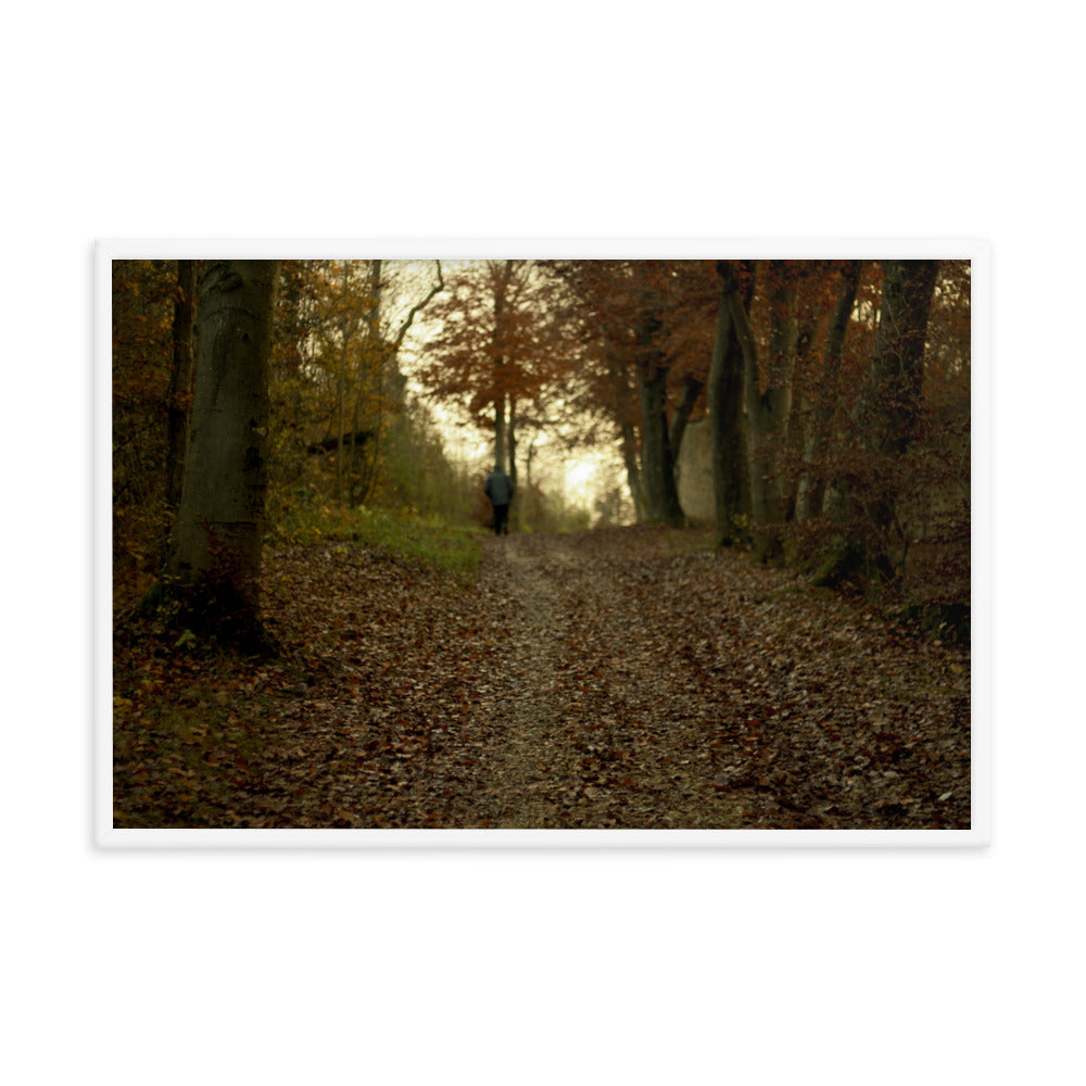 Autumn forest path