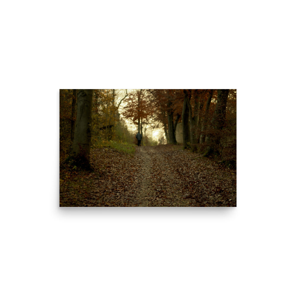 Autumn forest path