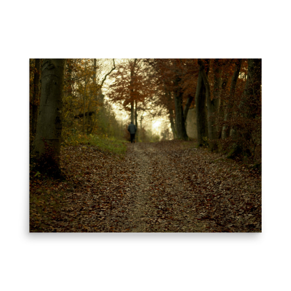 Autumn forest path