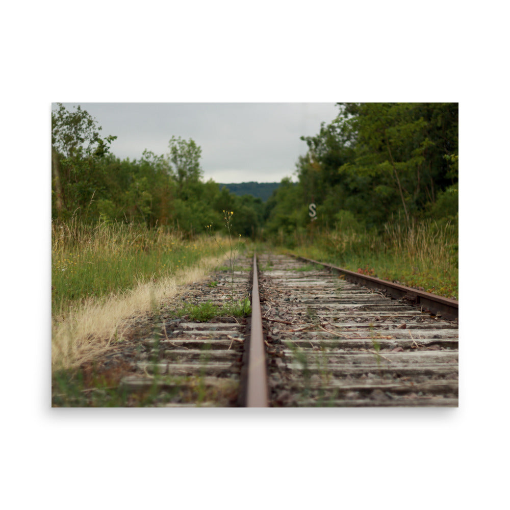 Abandoned railway