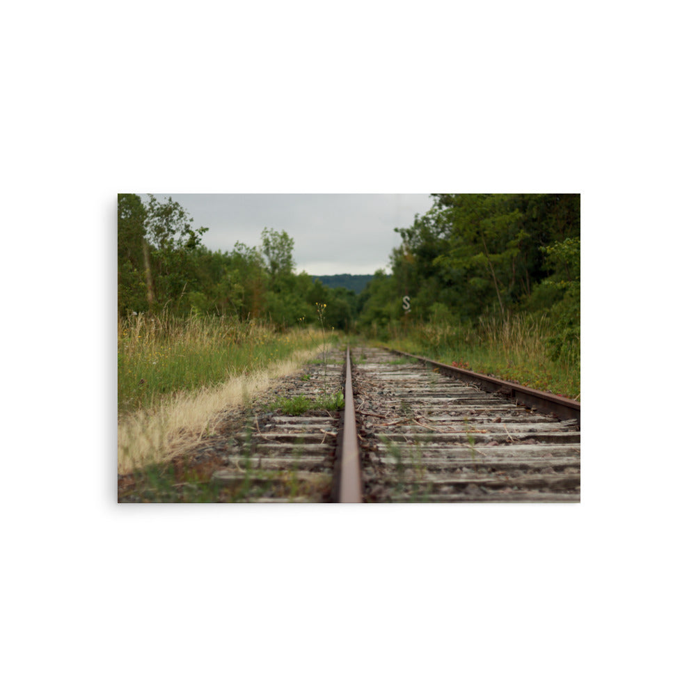 Abandoned railway