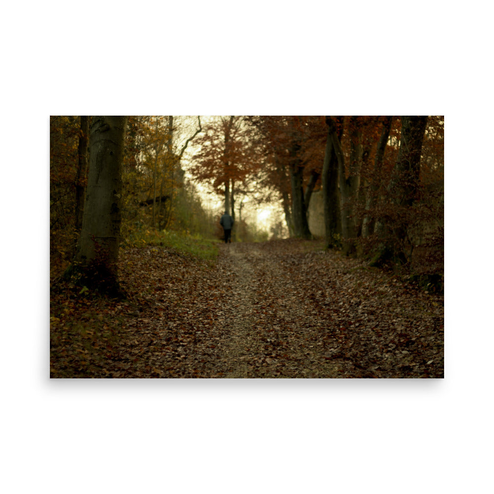 Autumn forest path