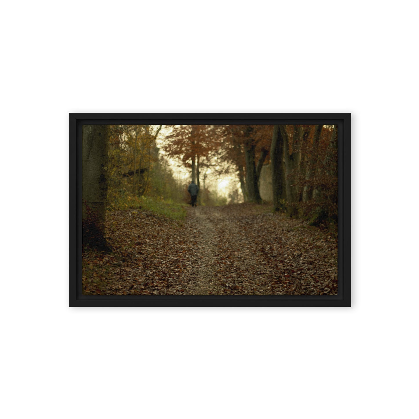 Autumn forest path