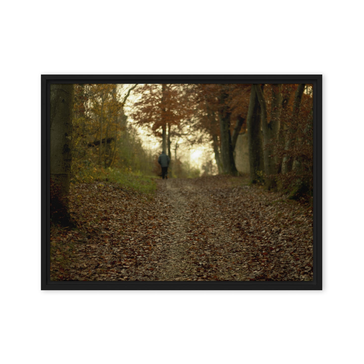 Autumn forest path