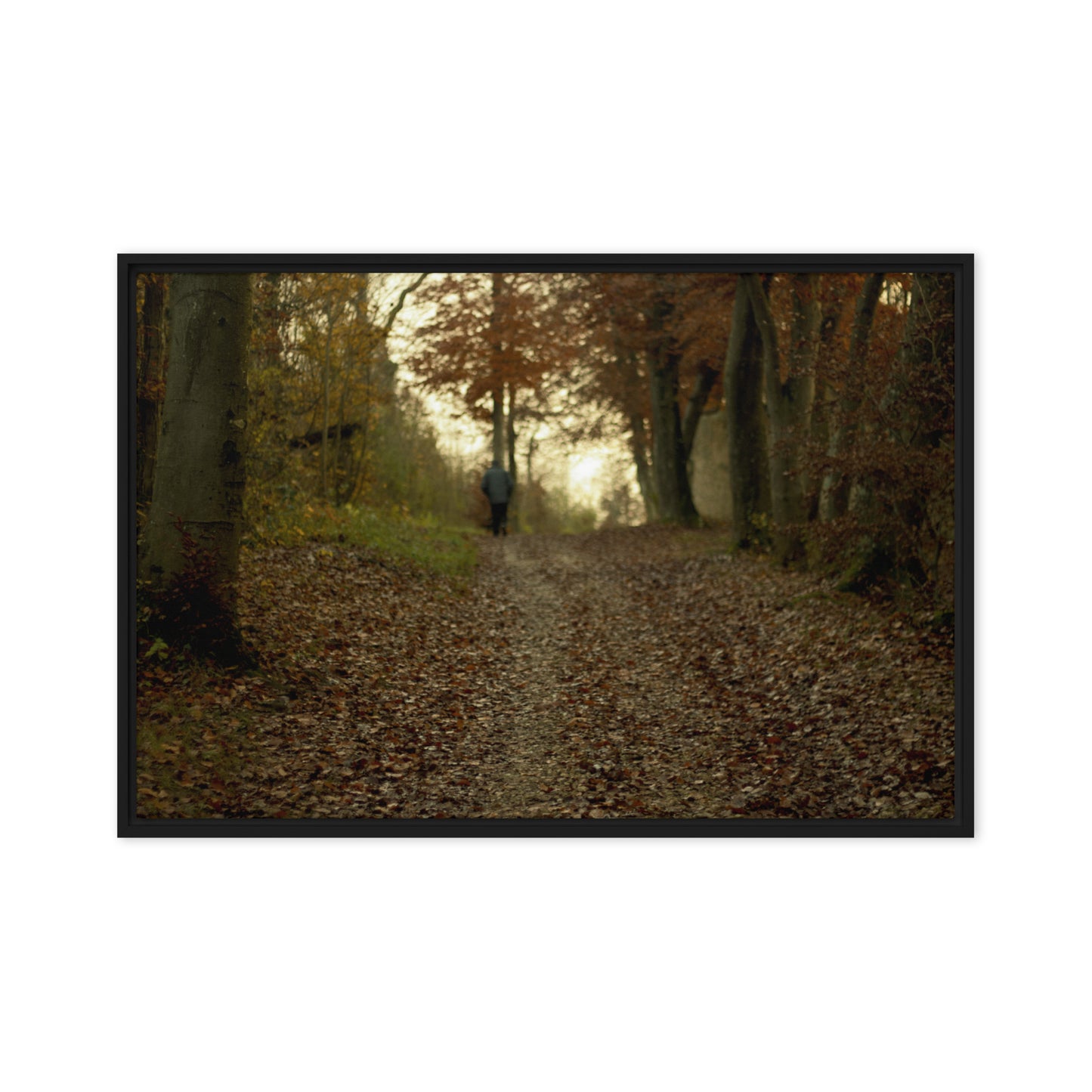 Autumn forest path