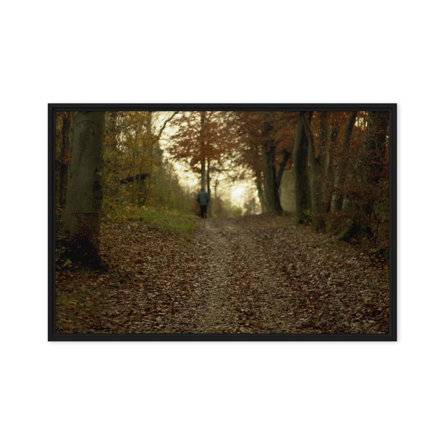 Autumn forest path