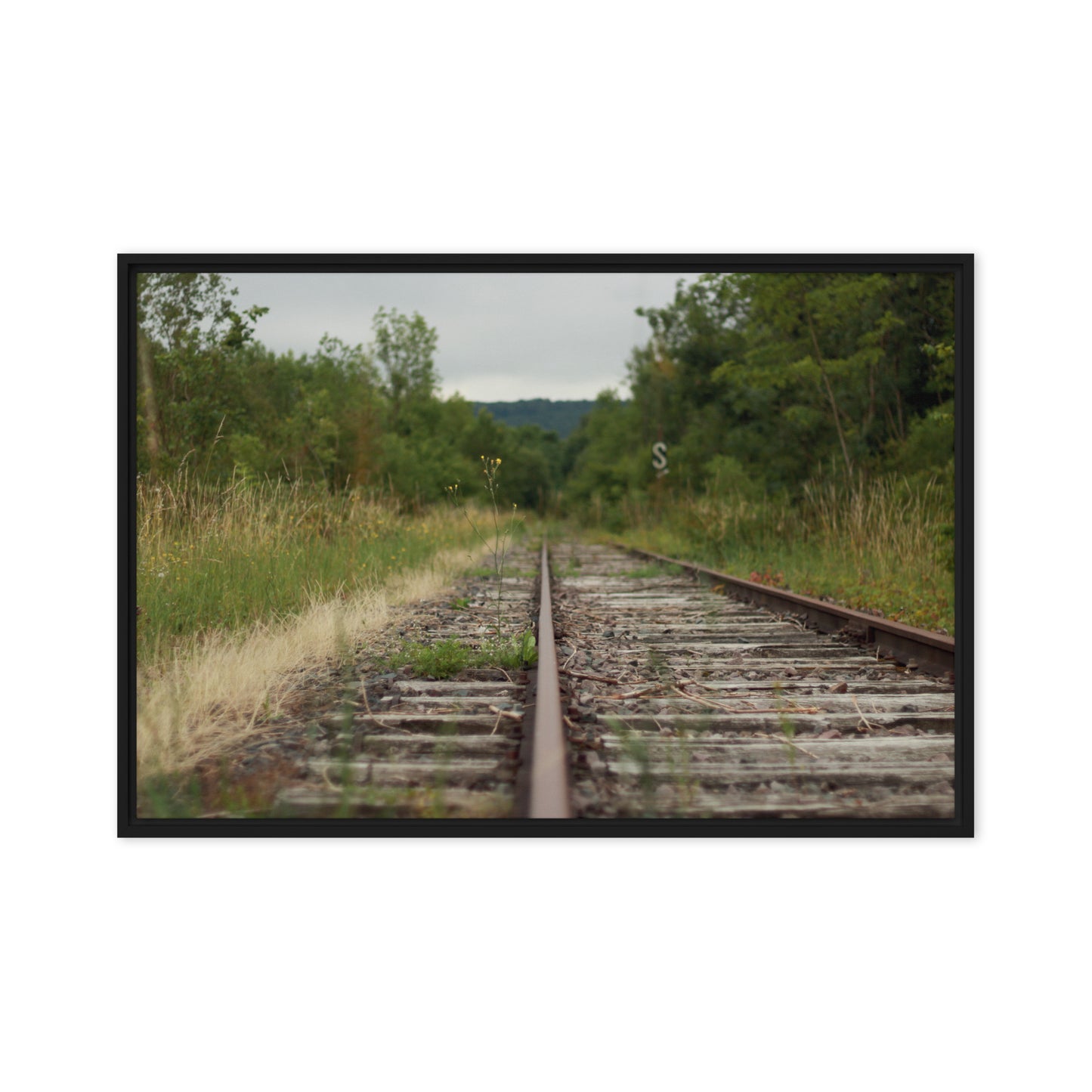 Abandoned railway