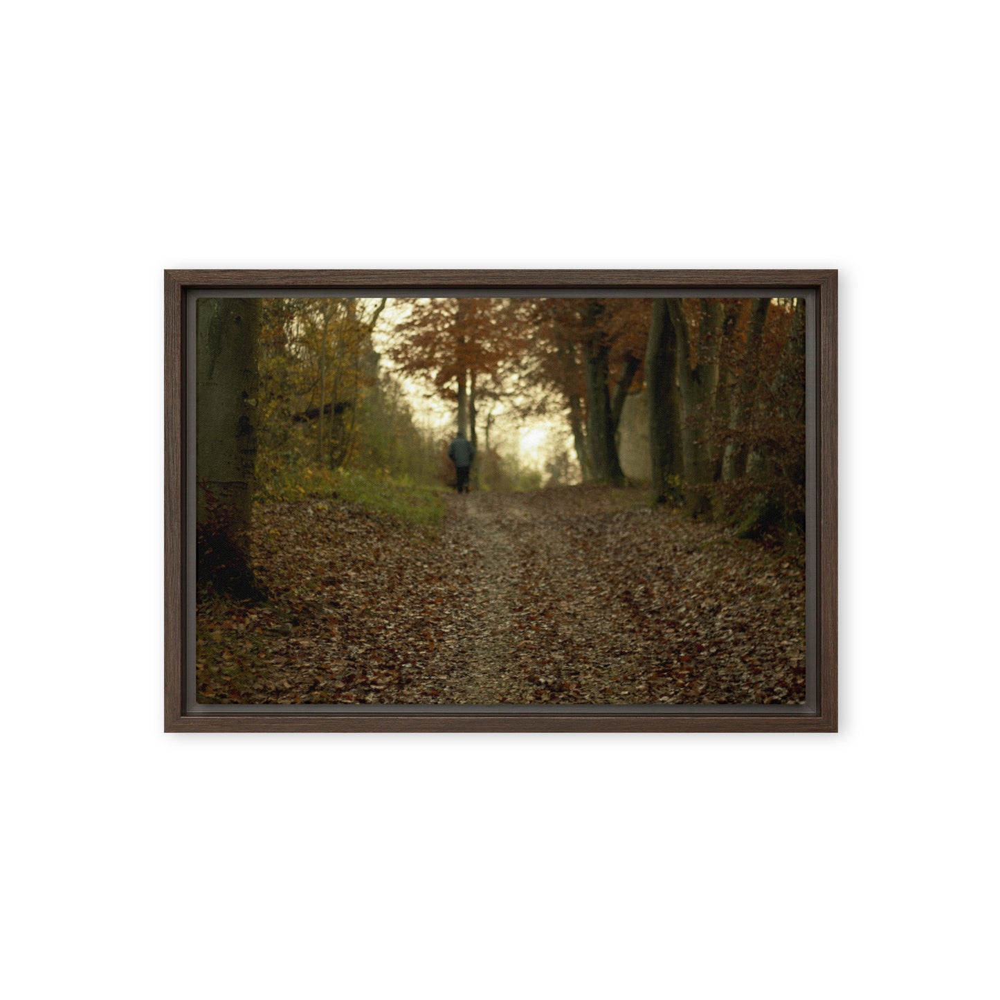 Autumn forest path