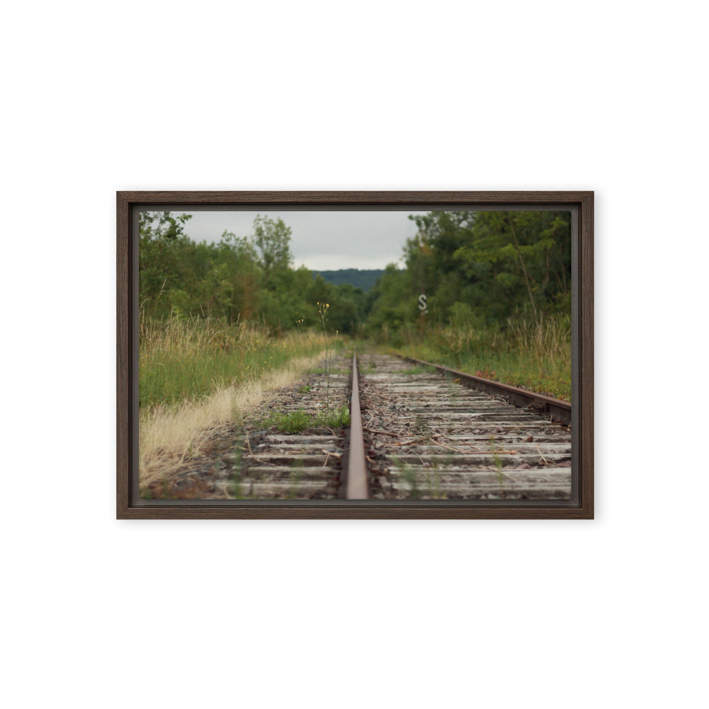 Abandoned railway