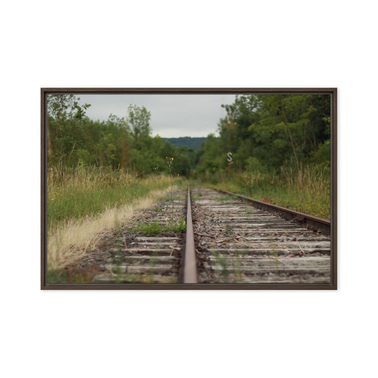 Abandoned railway