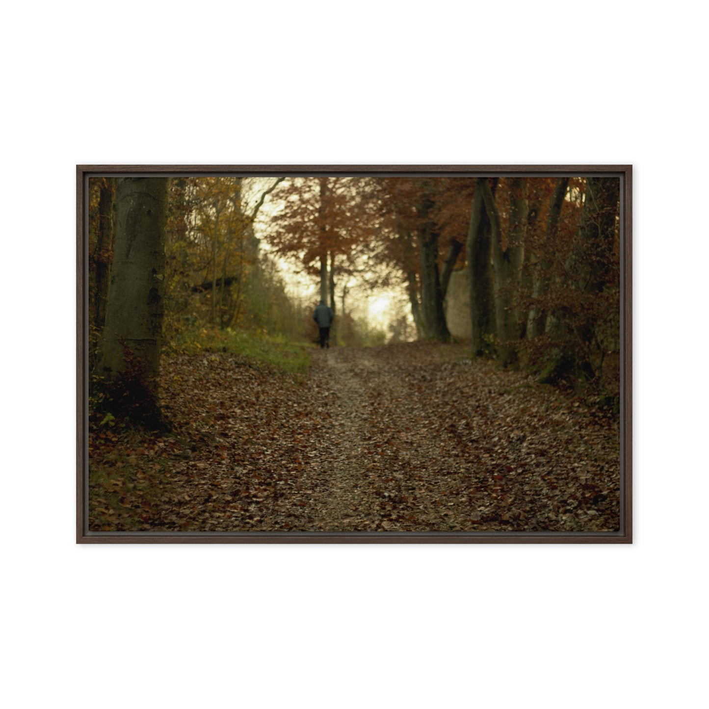 Autumn forest path