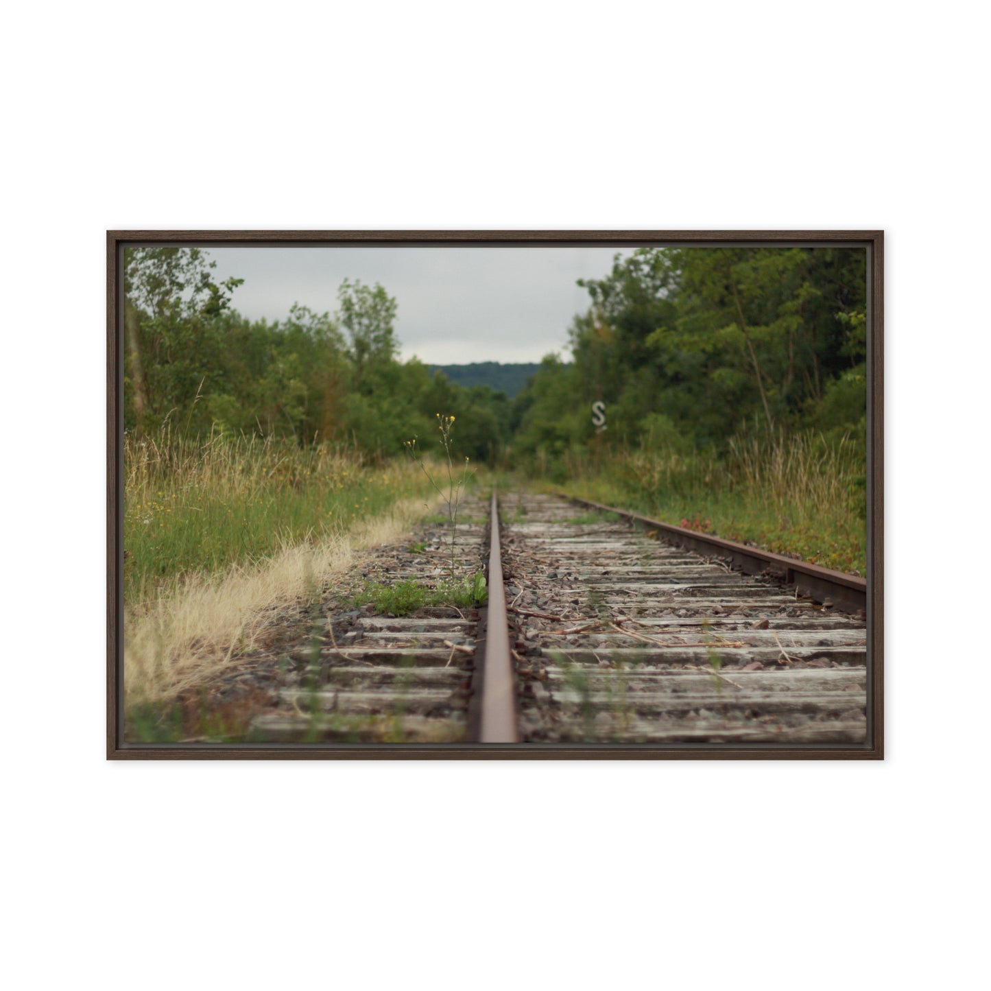 Abandoned railway