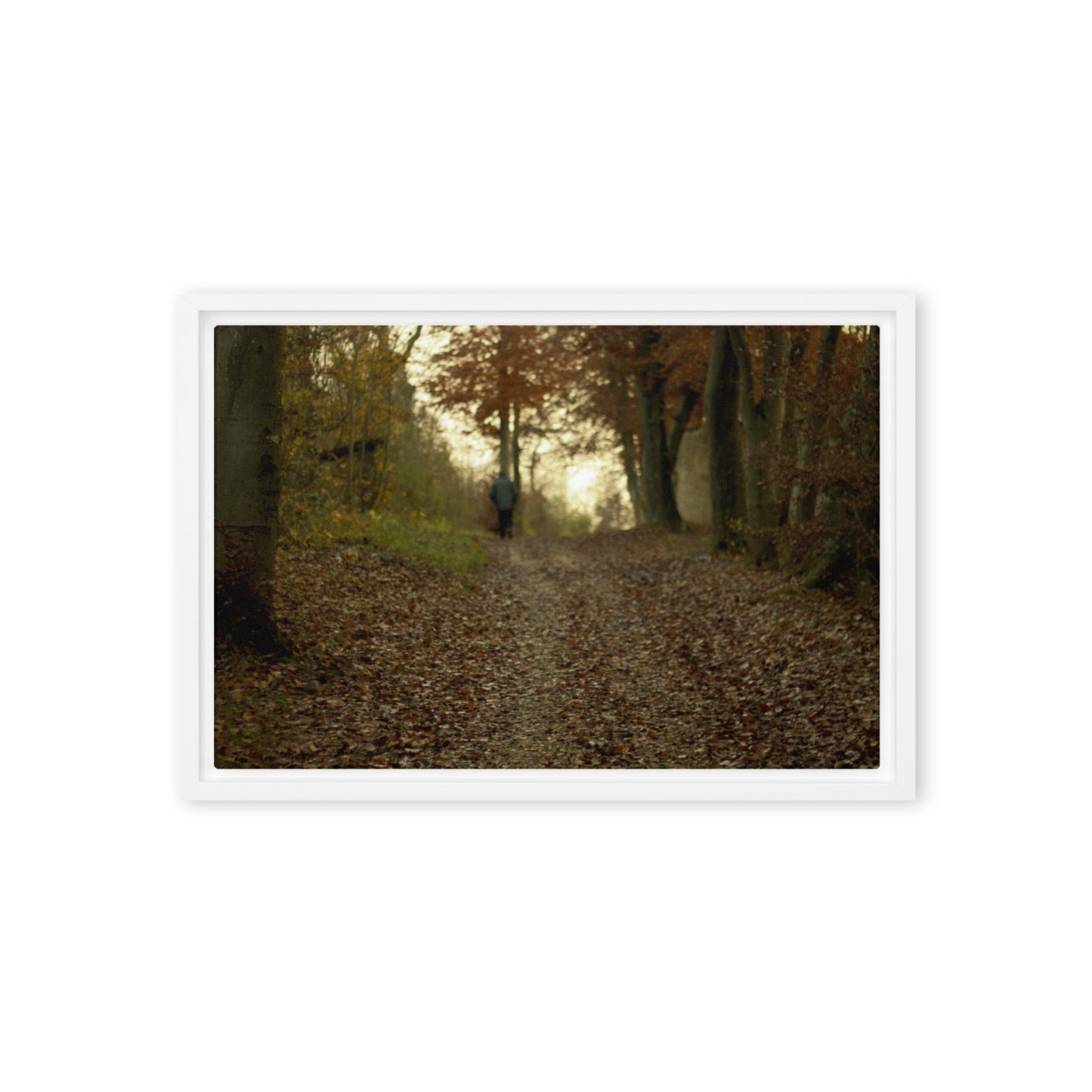 Autumn forest path