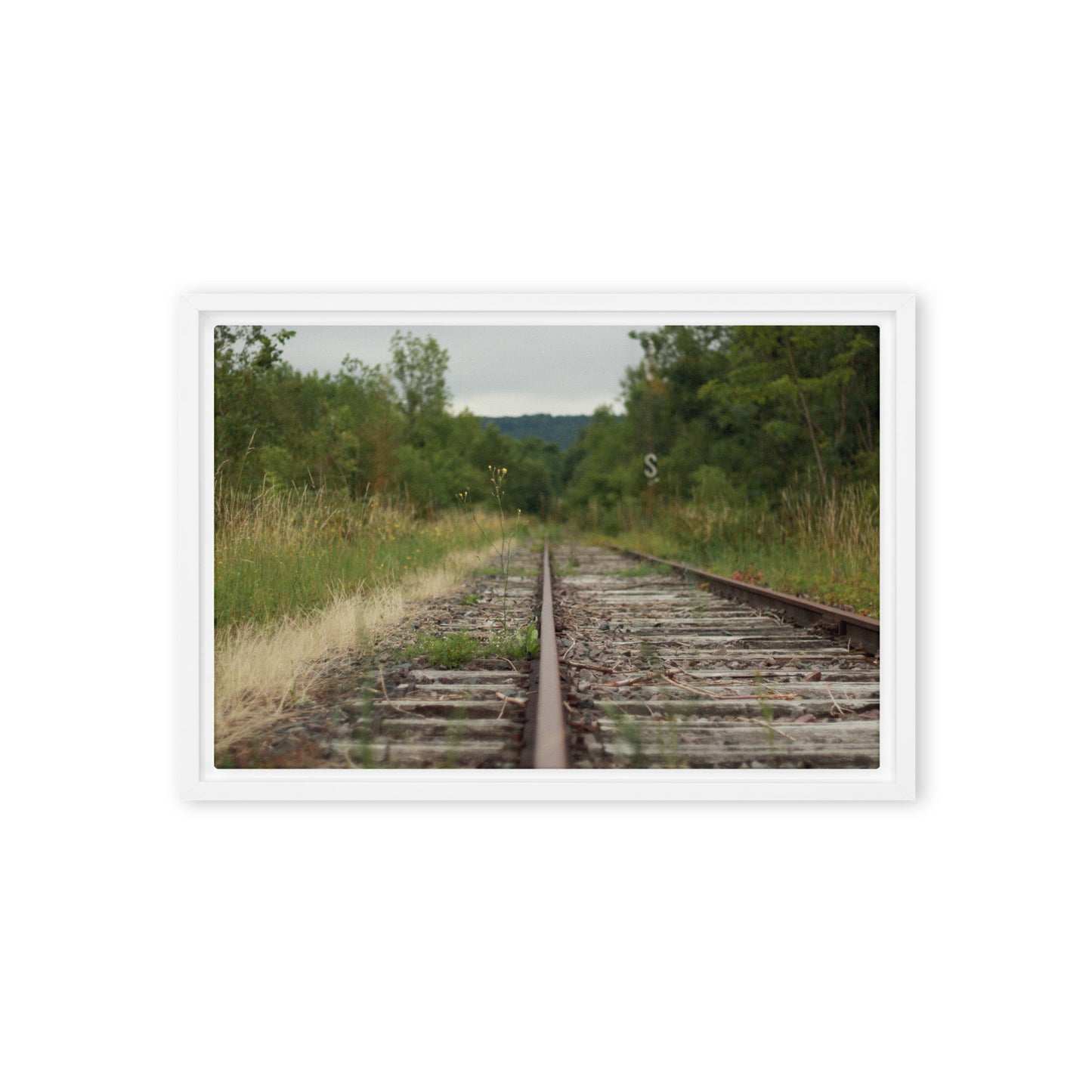 Abandoned railway