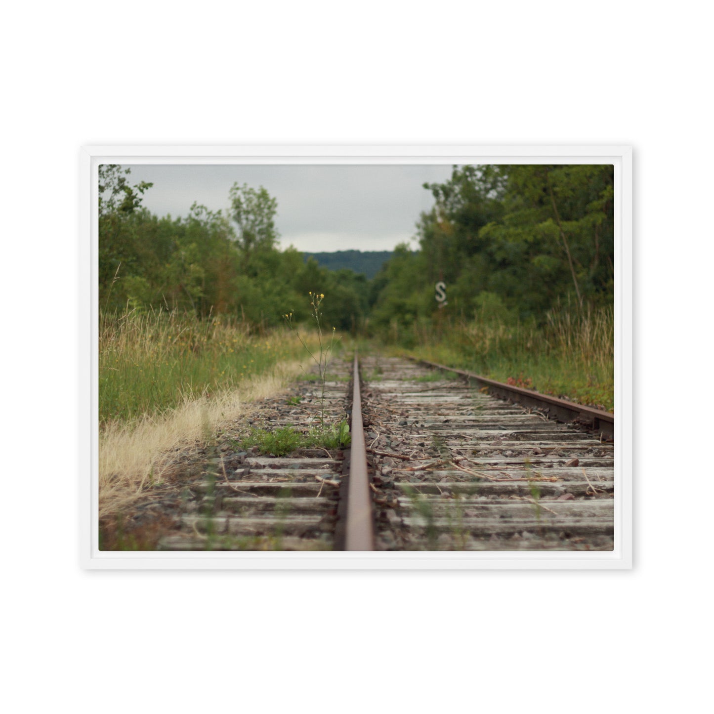 Abandoned railway