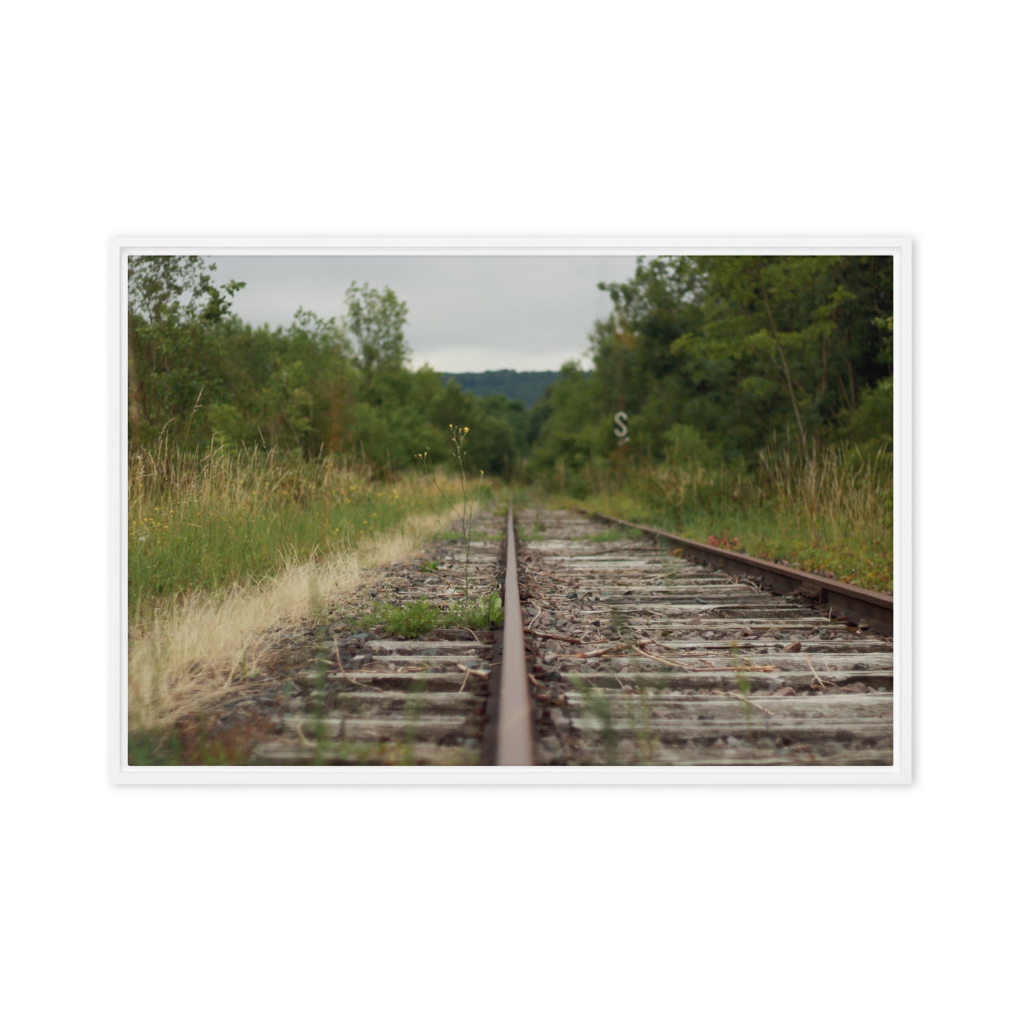 Abandoned railway