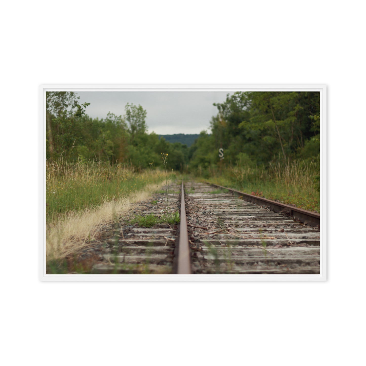 Abandoned railway